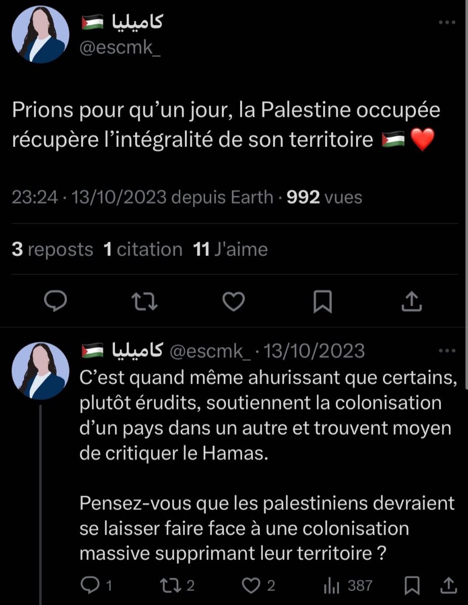 Propos Antisemite par Camélia Mekkiou