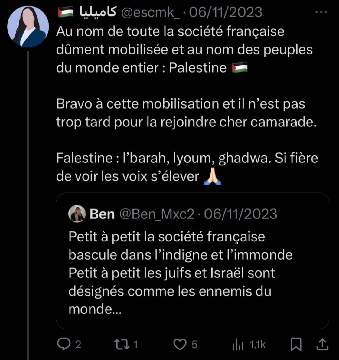 Propos Antisemite par Camélia Mekkiou