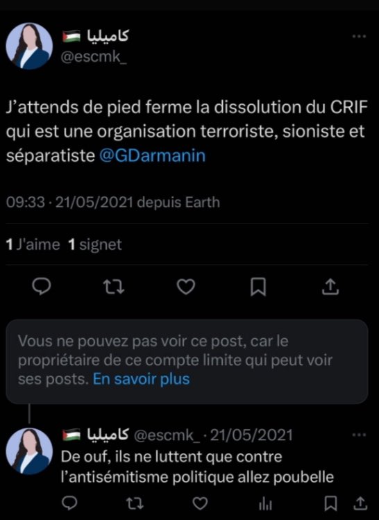 Propos Antisemite par Camélia Mekkiou
